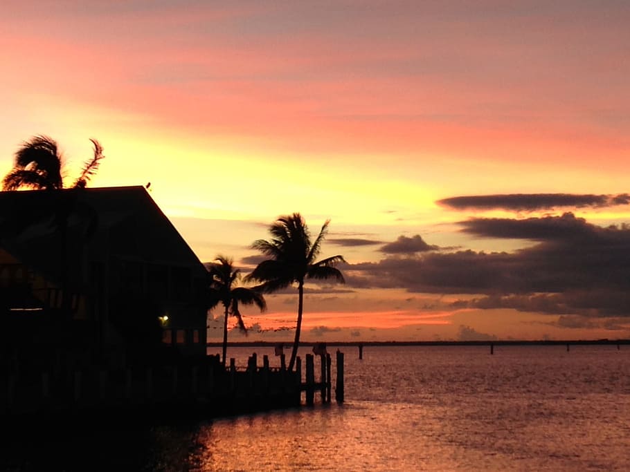 Sunset, Colors, Palm Tree, Silhouette, nature, sky, colorful HD wallpaper