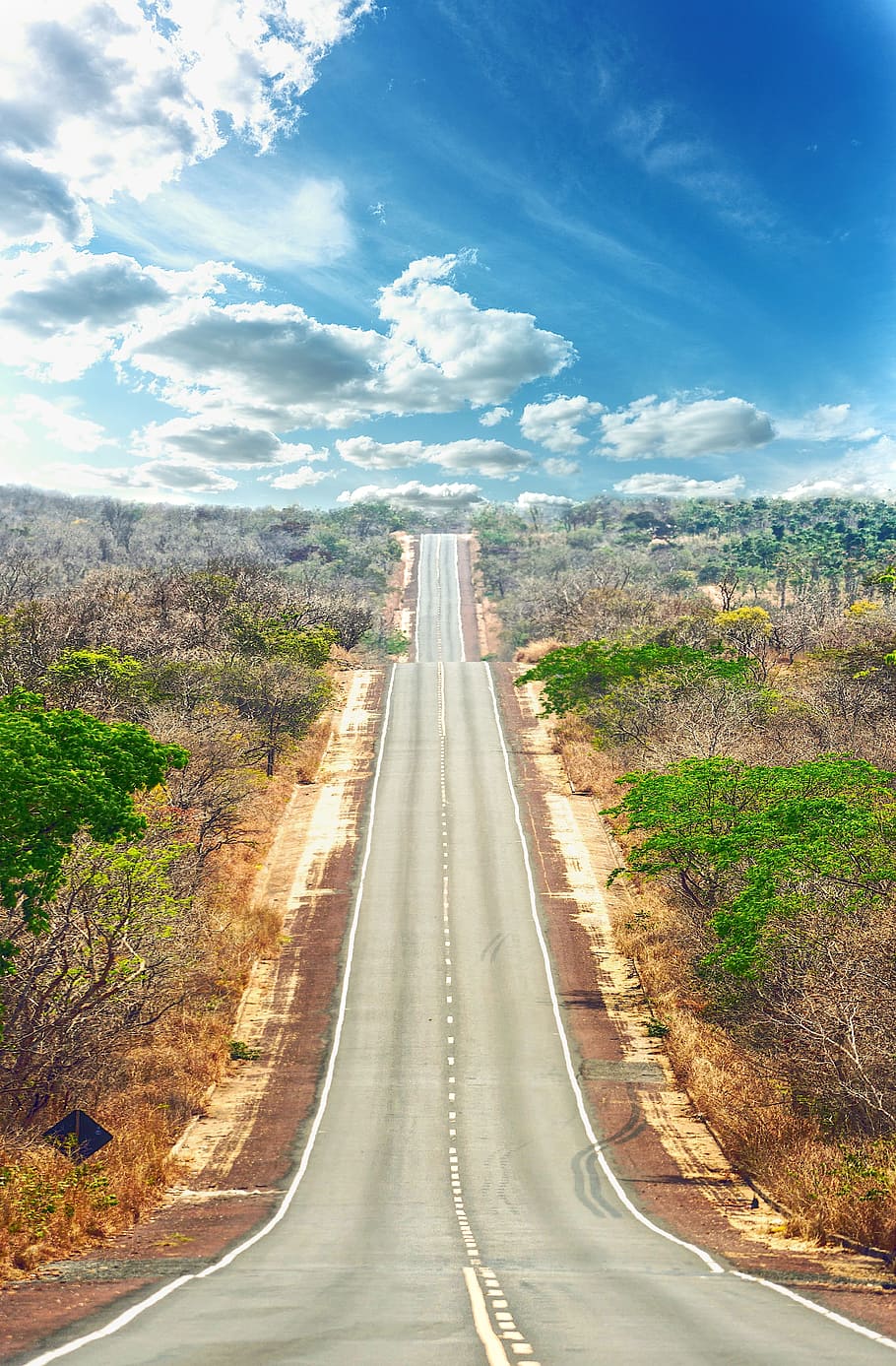 road in between plants with clouds in the background, sky, landscape HD wallpaper