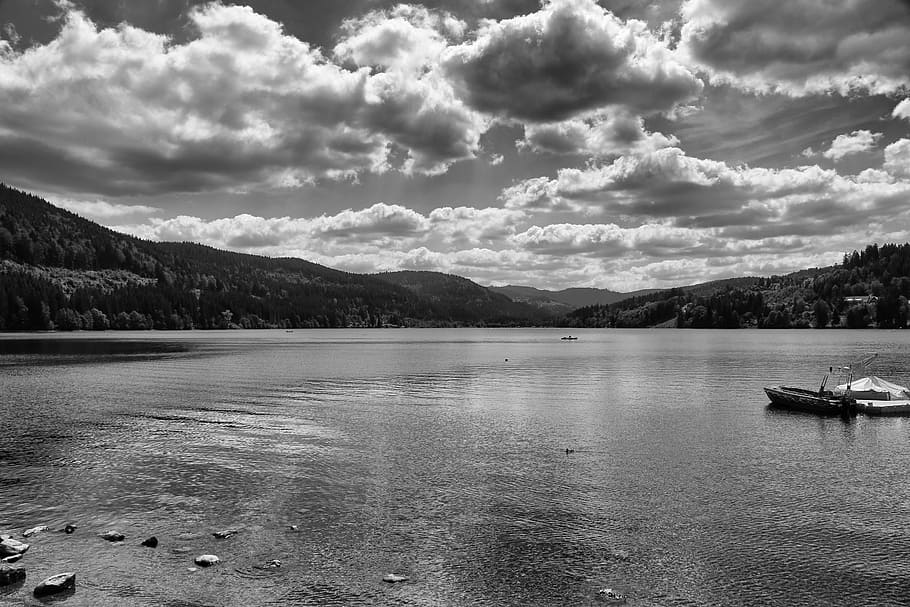 Titisee, Black Forest, Forest, Lake, mountain, scenics, cloud - sky HD wallpaper