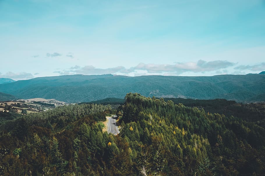 aerial photo of forest, aerial photo of mountains, tree, outdoor HD wallpaper
