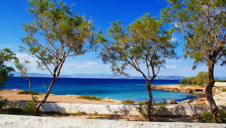 aegina, greece, island, tourism, sea, saronic, water, tree, HD wallpaper