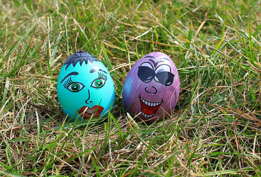 easter eggs, painted, para, funny easter eggs, nature, grass HD wallpaper