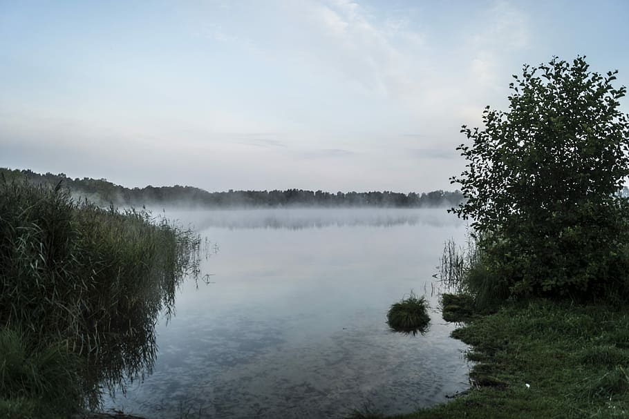 sweden, water, beauty, tree, plant, beauty in nature, tranquil scene HD wallpaper