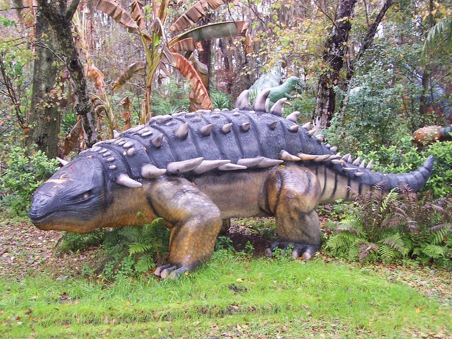 dinosaur, dinosaur world, theme park, florida, attraction, jurassic HD wallpaper