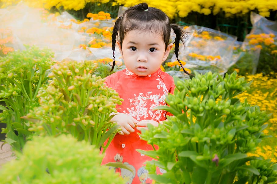 baby girl standing behind green grass, child, naive, lovely, beautiful, HD wallpaper