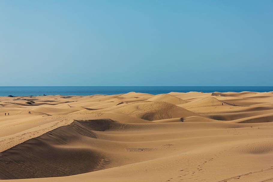 Gran Canaria, Maspalomas, Canary Islands, dunes, sand, ocean, HD wallpaper