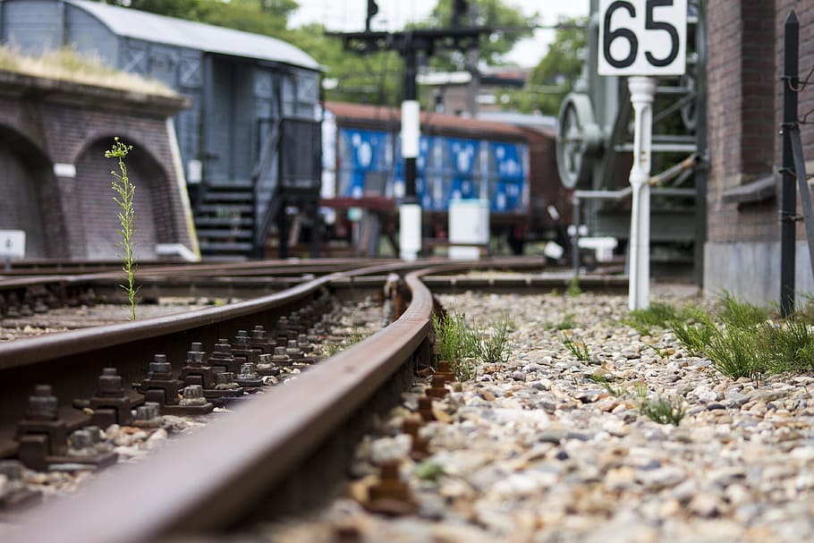 track, train, rails, transport, train track, station, railway HD wallpaper