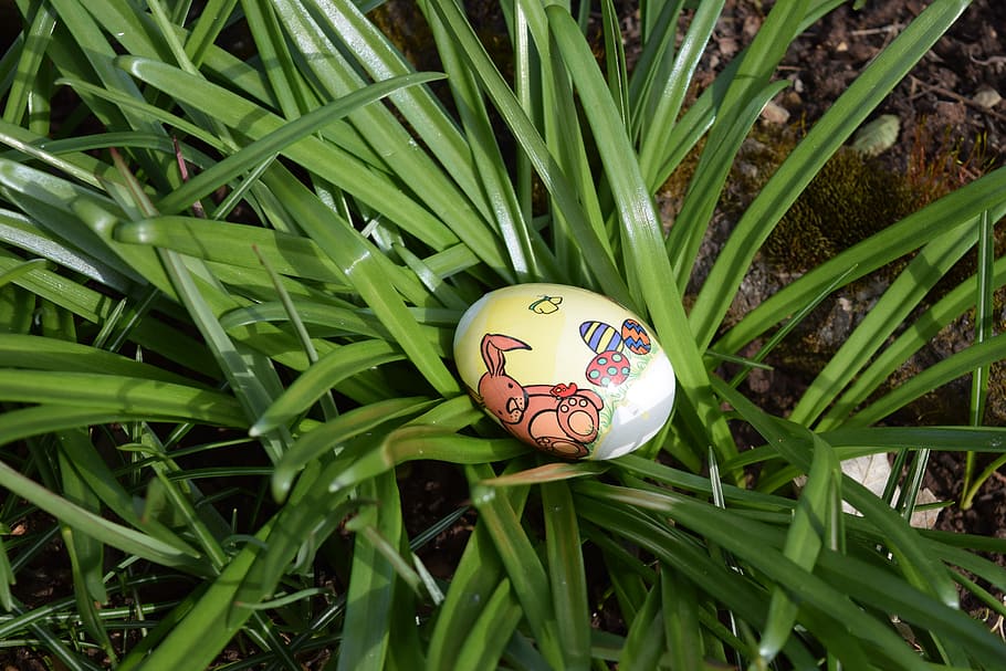 Easter, Egg, Easter Egg, Colorful, green color, high angle view HD wallpaper