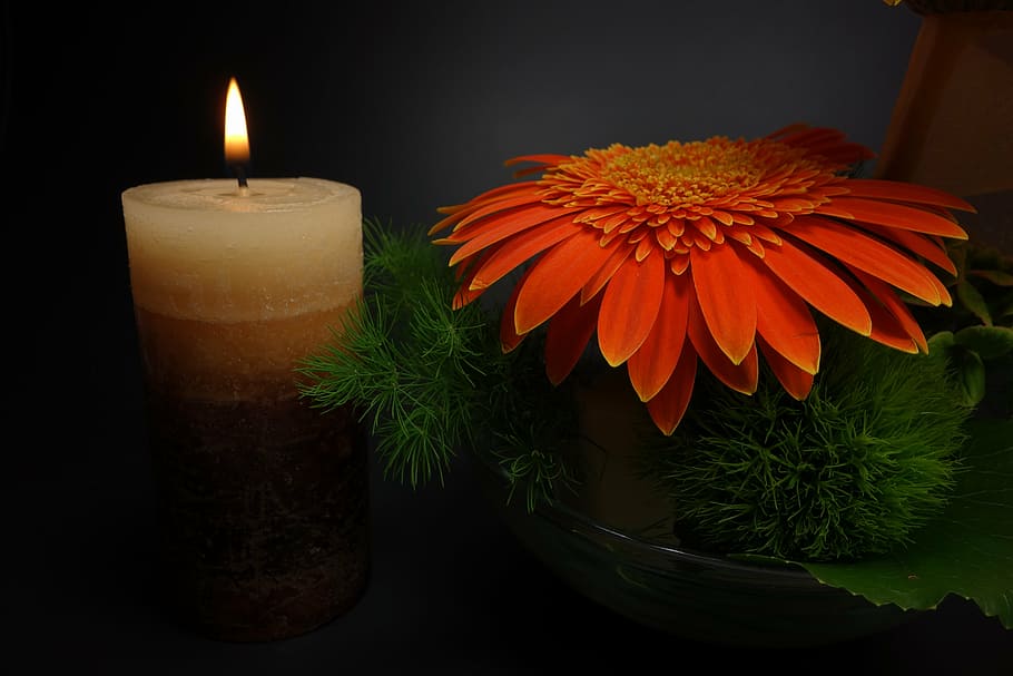 red petaled flower and beige pillar candle low-light selective focus photography
