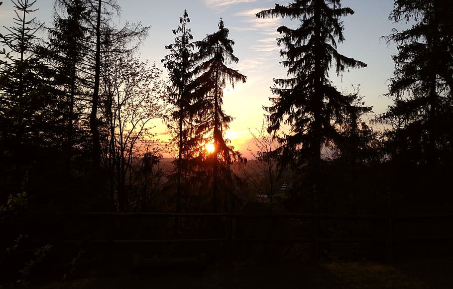 sunset, landscape, scenery, tree, romance, tatry, plant, sky HD wallpaper