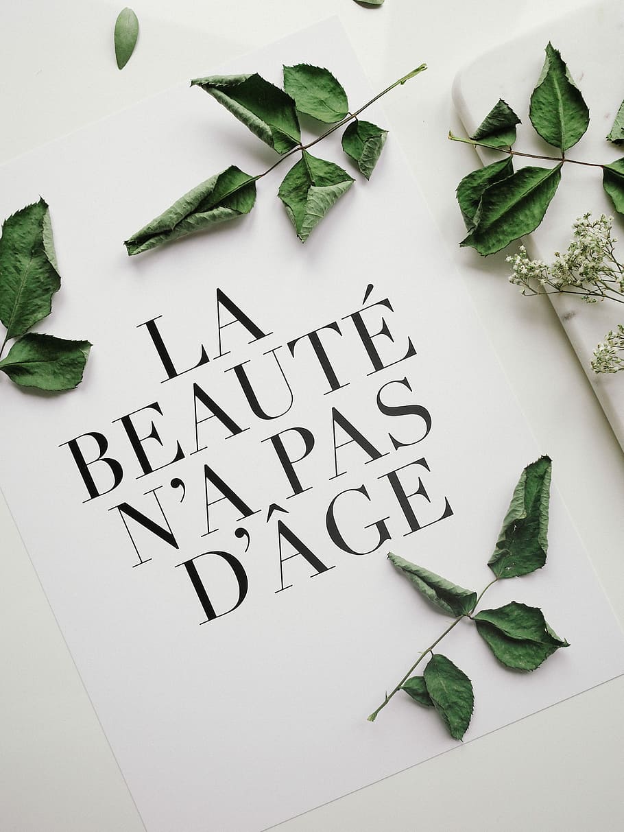 green leaves on paper, LA Beaute N'A Pas D'Age paper with green ovate leaves, HD wallpaper