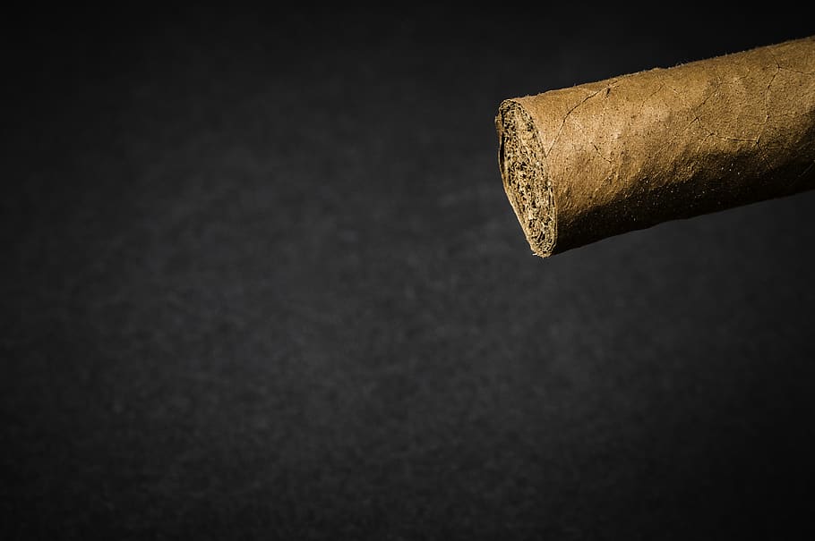 cigar, smoke, tobacco, habit, cuban, single object, studio shot, HD wallpaper