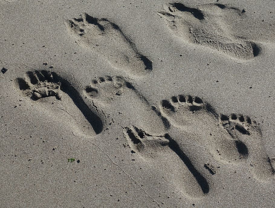 footprints, sand, beach, traces, land, high angle view, nature HD wallpaper