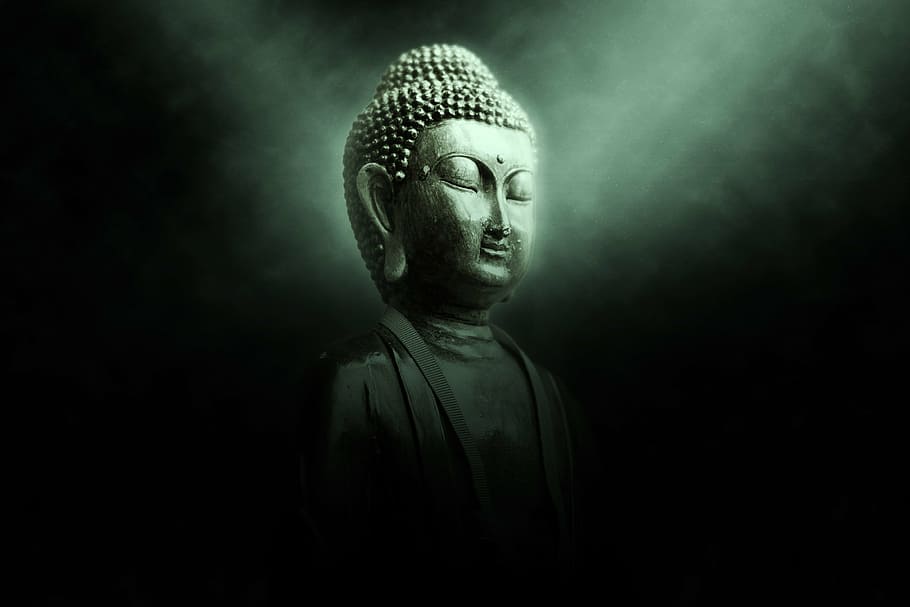 Buddha hair hires stock photography and images  Alamy