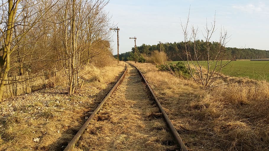 tracks, grass, summer, scenery, vegetation, railroad, landscape HD wallpaper