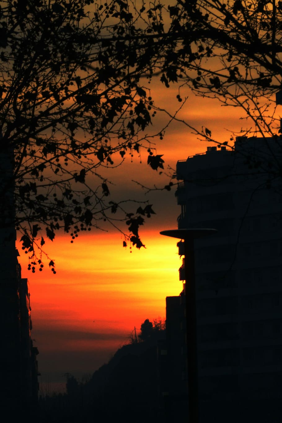 Sunset, City, Evening, Sky, urban, silhouette, orange color HD wallpaper