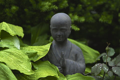 monk statue surrounded by plants outdoor during day, closeup photography of gray monk statue HD wallpaper