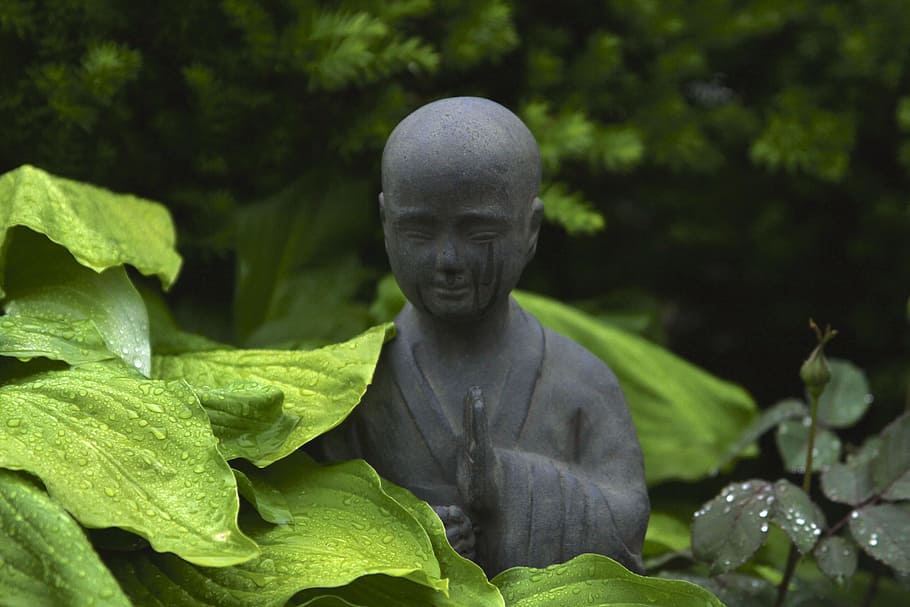 monk statue surrounded by plants outdoor during day, closeup photography of gray monk statue HD wallpaper