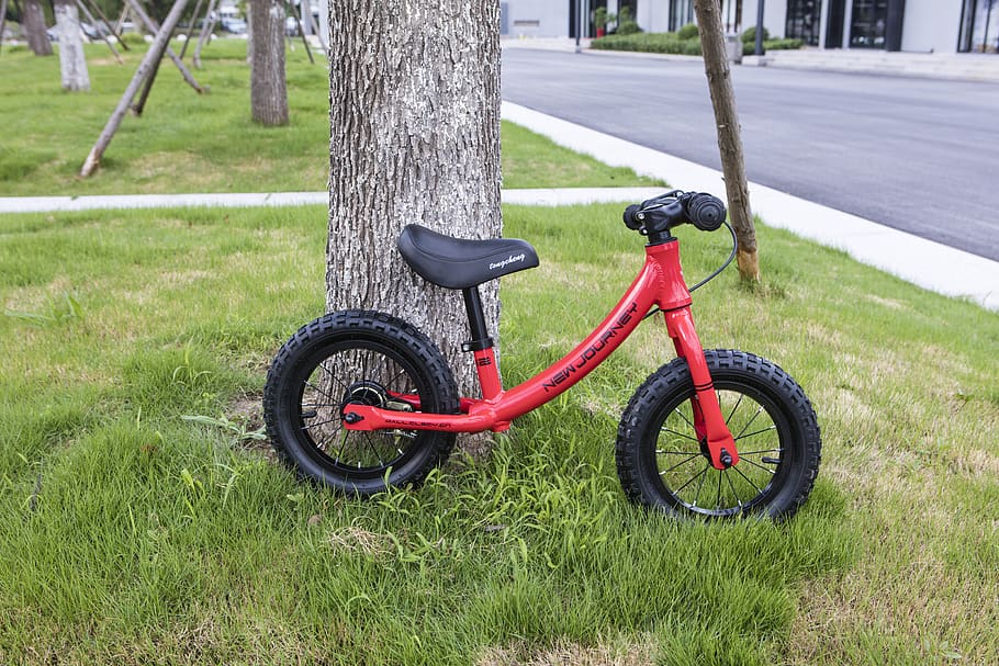 stroller, bike, trolley, grass, plant, trunk, tree trunk, transportation HD wallpaper