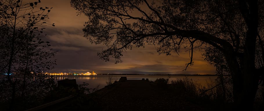night, pierce, tree, city ​​lights, water, sky, plant, nature HD wallpaper