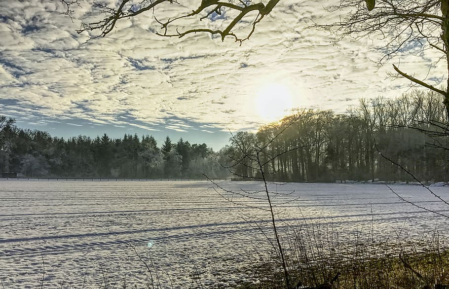 Sun, Snow, Winter, Mood, winter mood, tree, landscape, no people HD wallpaper