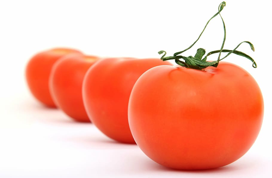 four orange tomatoes, appetite, calories, catering, cherry HD wallpaper