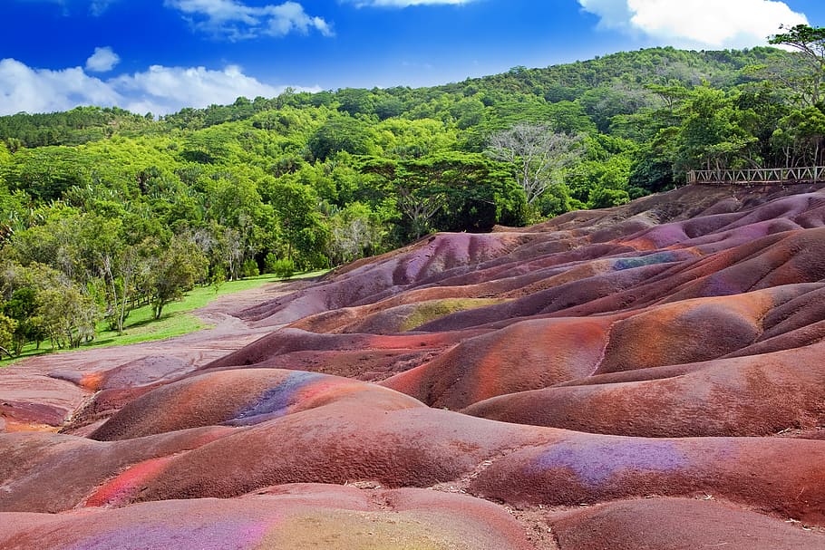 Color, Sands, Chamarel, Mauritius, cloud - sky, nature, tree, HD wallpaper