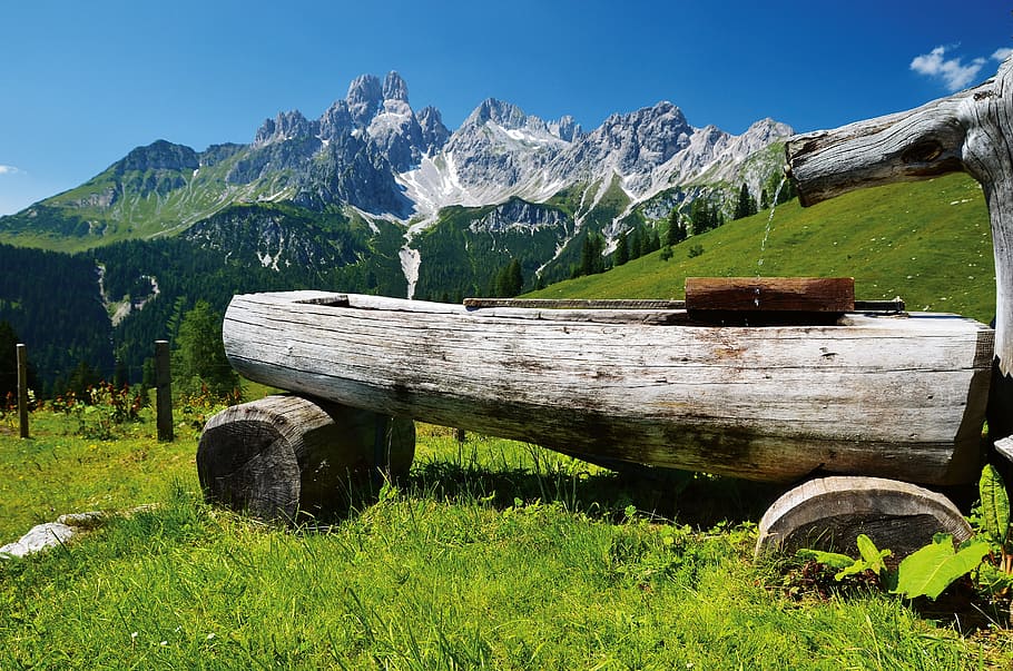 alpine, mountains, austria, water, alm, idyll, plant, grass HD wallpaper