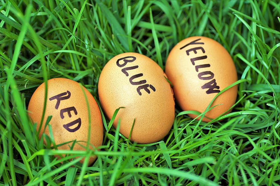 Easter, Eggs, Easter Eggs, joke, color eggs, easter time, spring HD wallpaper