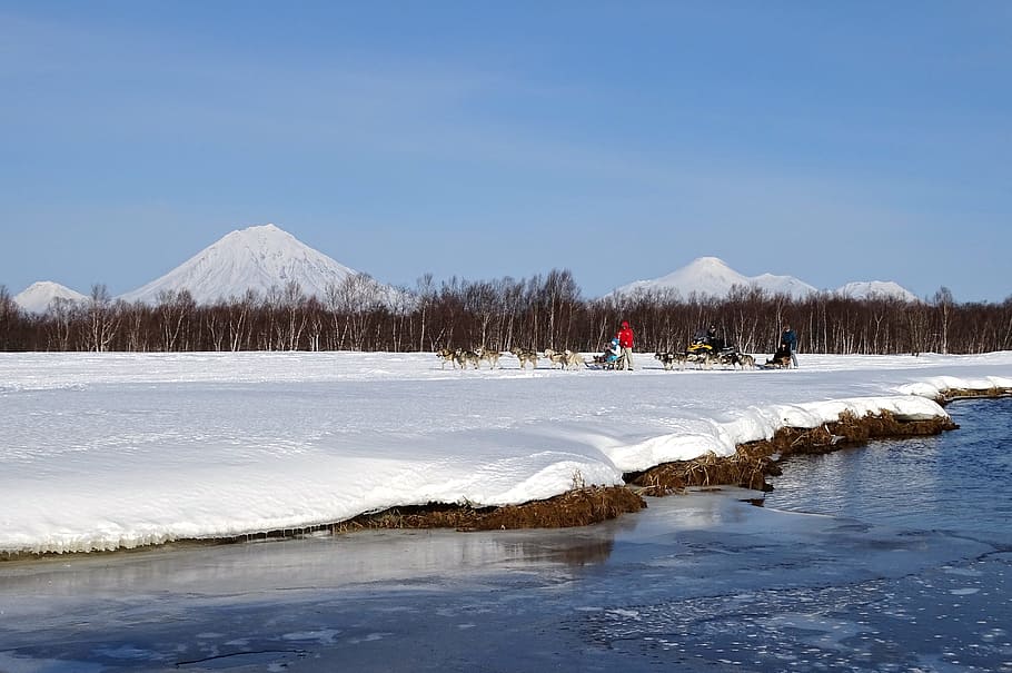 river, beach, dog sled, volcano, landscape, competition, people HD wallpaper