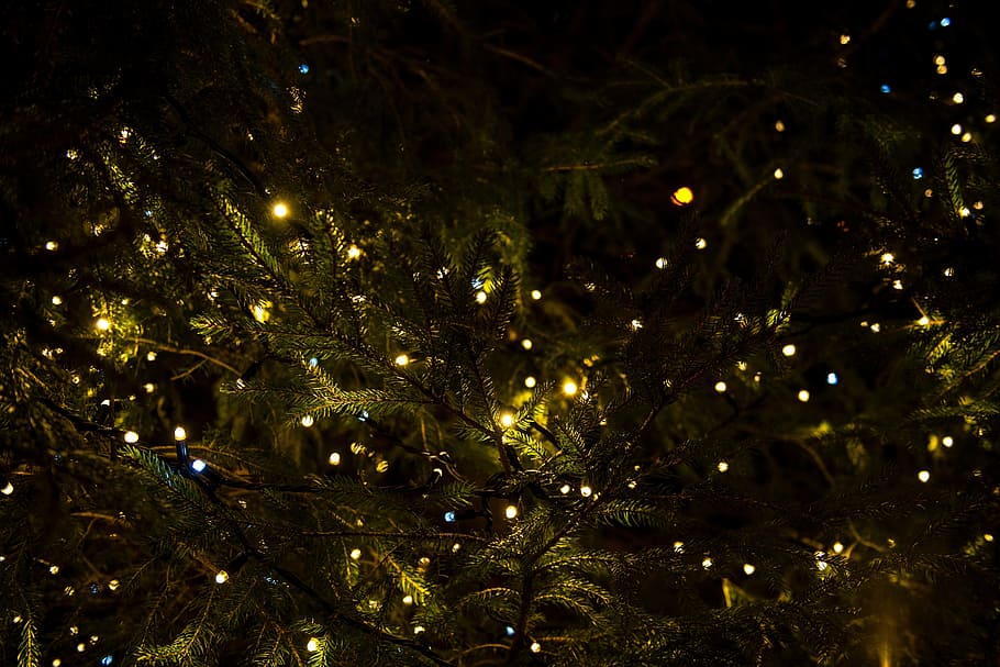 christmas, lights, tree, decor, illuminated, celebration, decoration HD wallpaper
