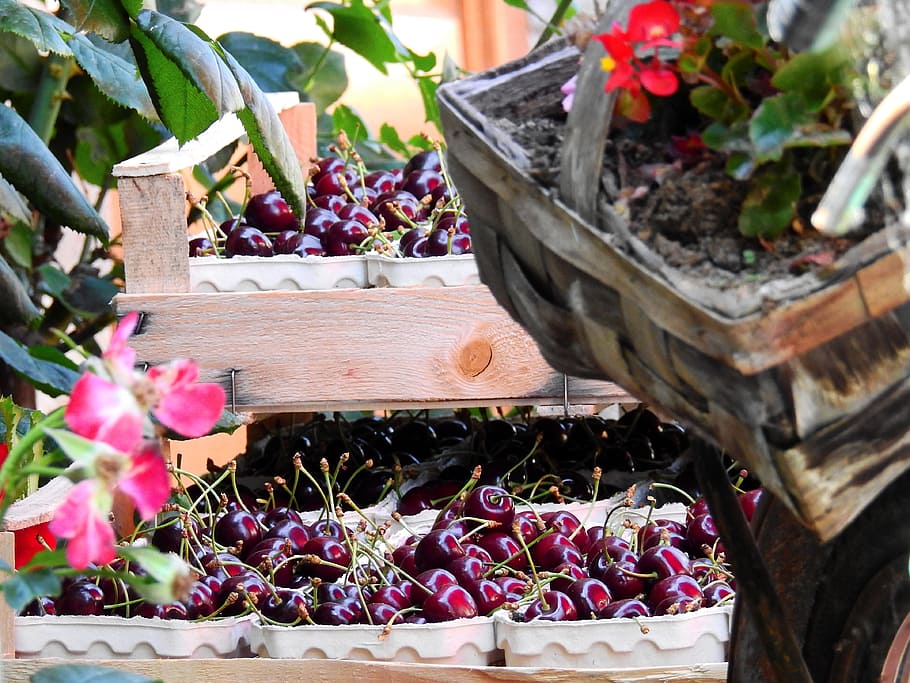 Fruit, Cherry, Drupe, Sales, Stand, Sell, sales stand, market HD wallpaper