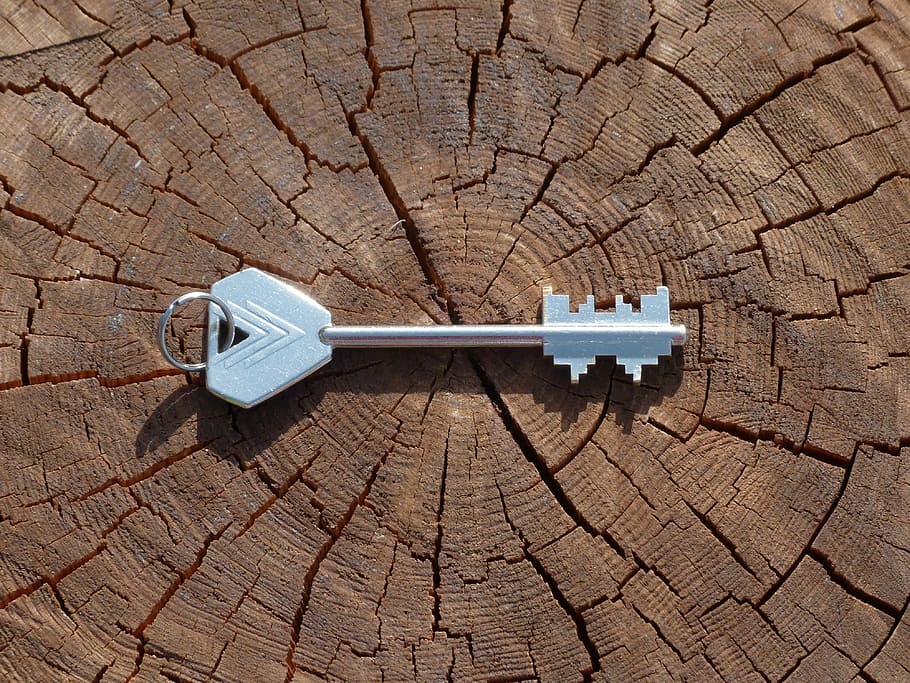 silver stainless steel key on brown tree log during day time
