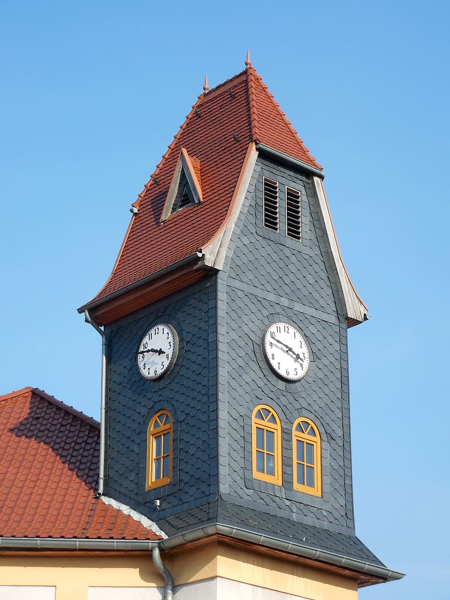 town hall, tower, clock, town hall tower, building, time, architecture HD wallpaper