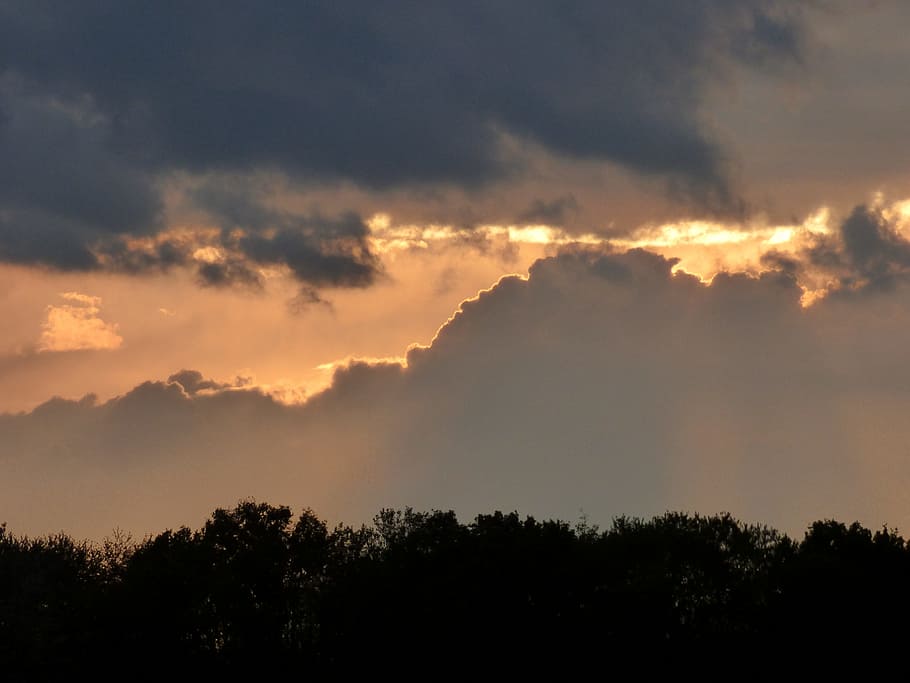 Sunset, Clouds, sky, silhouette, nature, tree, scenics, cloud - sky HD wallpaper