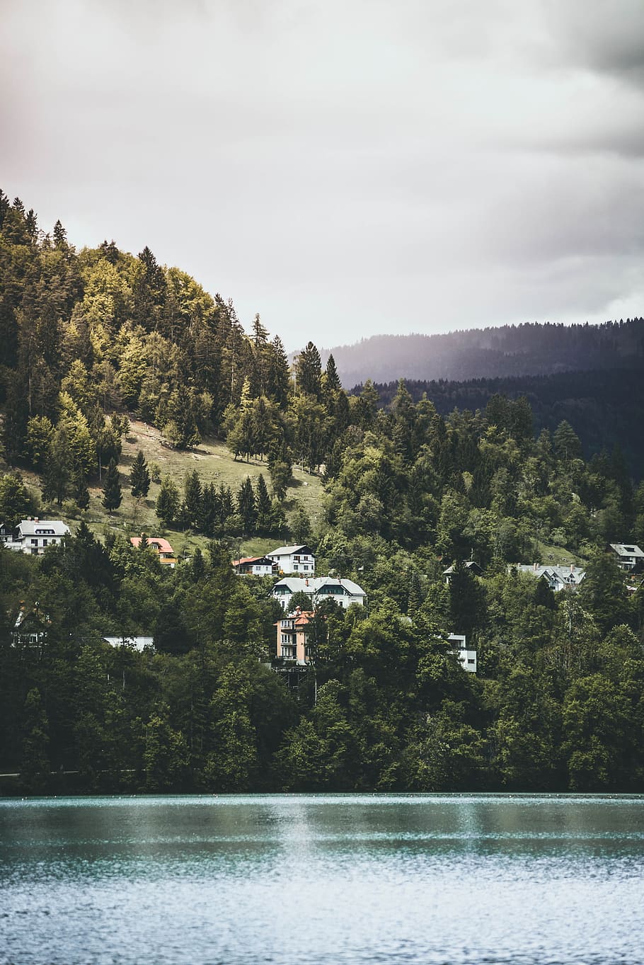 house and trees during daytime, houses in mountain foot surrounded by trees near body of water HD wallpaper