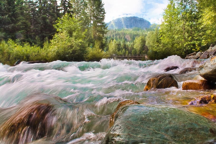 photography of time lapped, waterfall, creek, running water, stream, HD wallpaper