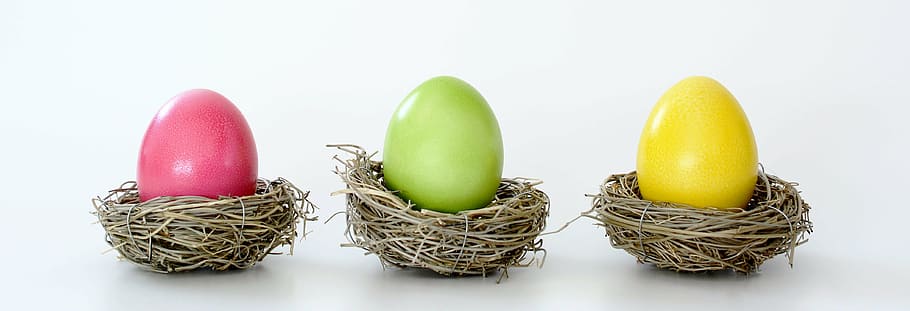 three easter eggs on nest, easter nest, colorful, decoration
