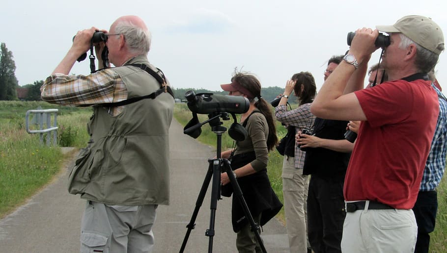 bird watchers, dyke, birds, spotting, camera - photographic equipment