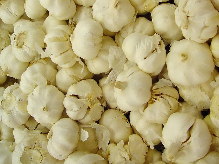 garlic, white, vegetables, roots, bulbous, herbs, herbal, healthy