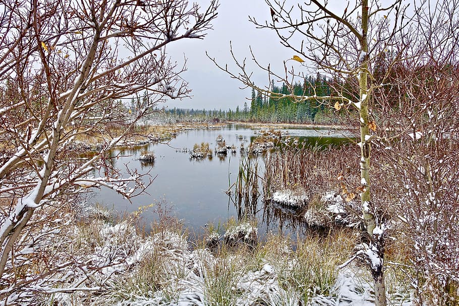 lake, cold, snow, wilderness, reflection, frozen, scenic, landscape HD wallpaper