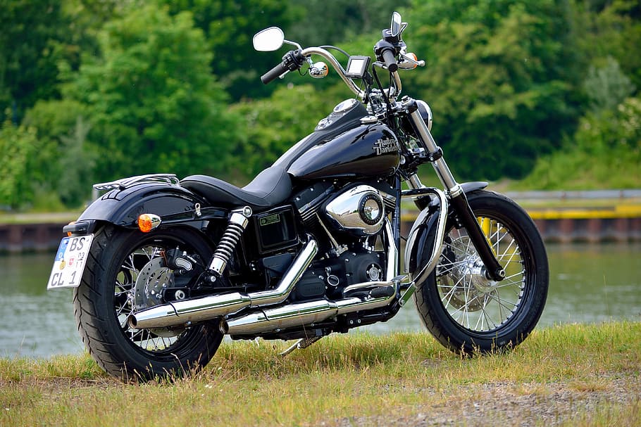 black cruiser motorcycle, harley, tiefenschärfe, water, harley davidson, HD wallpaper