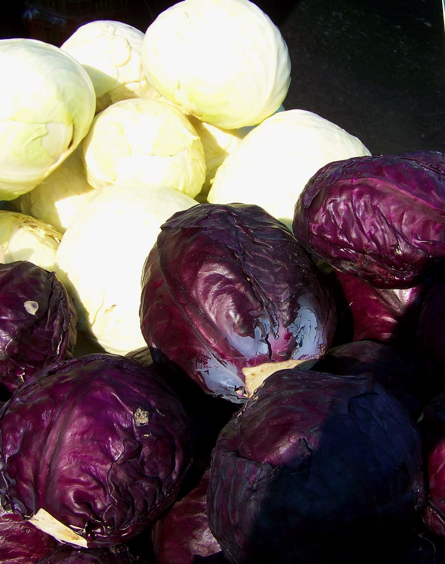 purple cabbage, white cabbage, vegetables, food and drink, freshness HD wallpaper