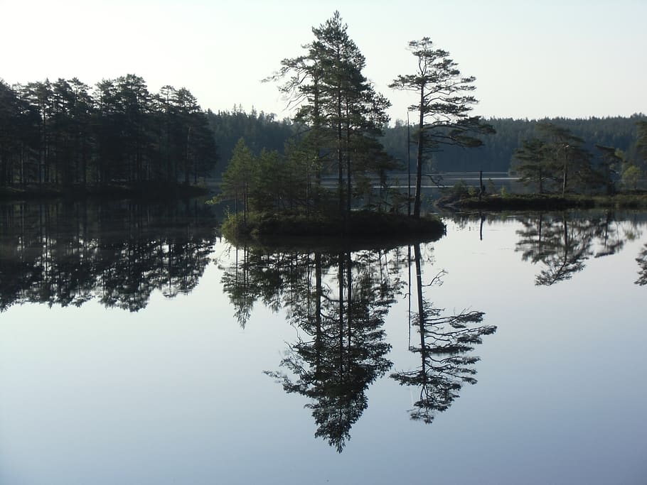 lake, island, tree, water, mirror image, reflection, plant HD wallpaper