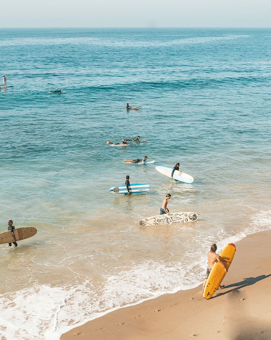 California Surfing, group of people holding surfboards on blue ocean water HD wallpaper