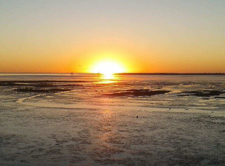 Sun, Sunset, Light, sea, beach, scenics, nature, sky, scenics - nature HD wallpaper