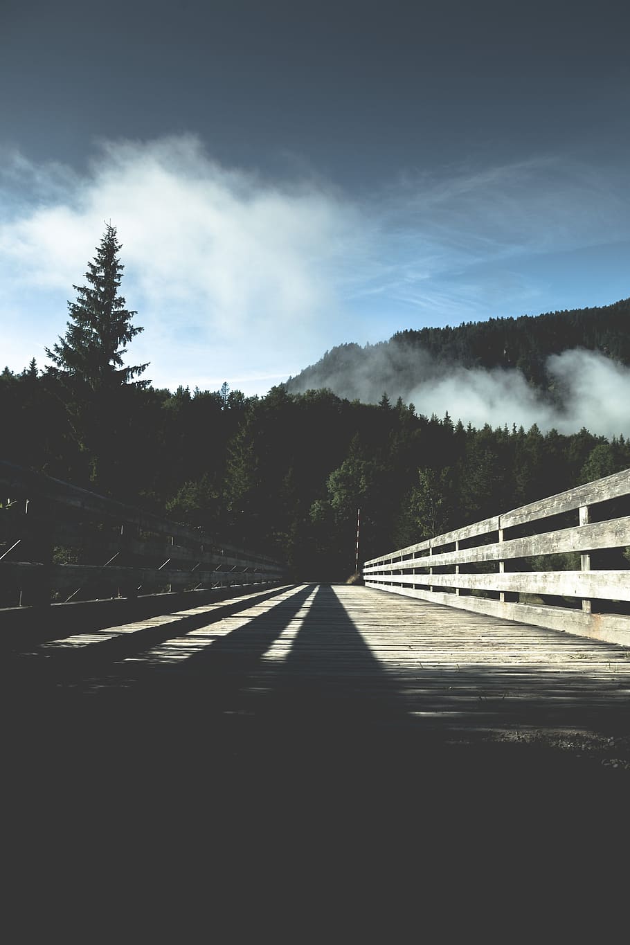 mountain, cloud, sky, landscape, nature, valley, trees, plants HD wallpaper