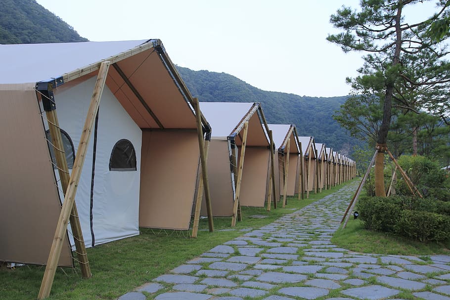 Camping, Glam, Hugh, Sat, Pia, glam-ping, hugh sat pia, day HD wallpaper