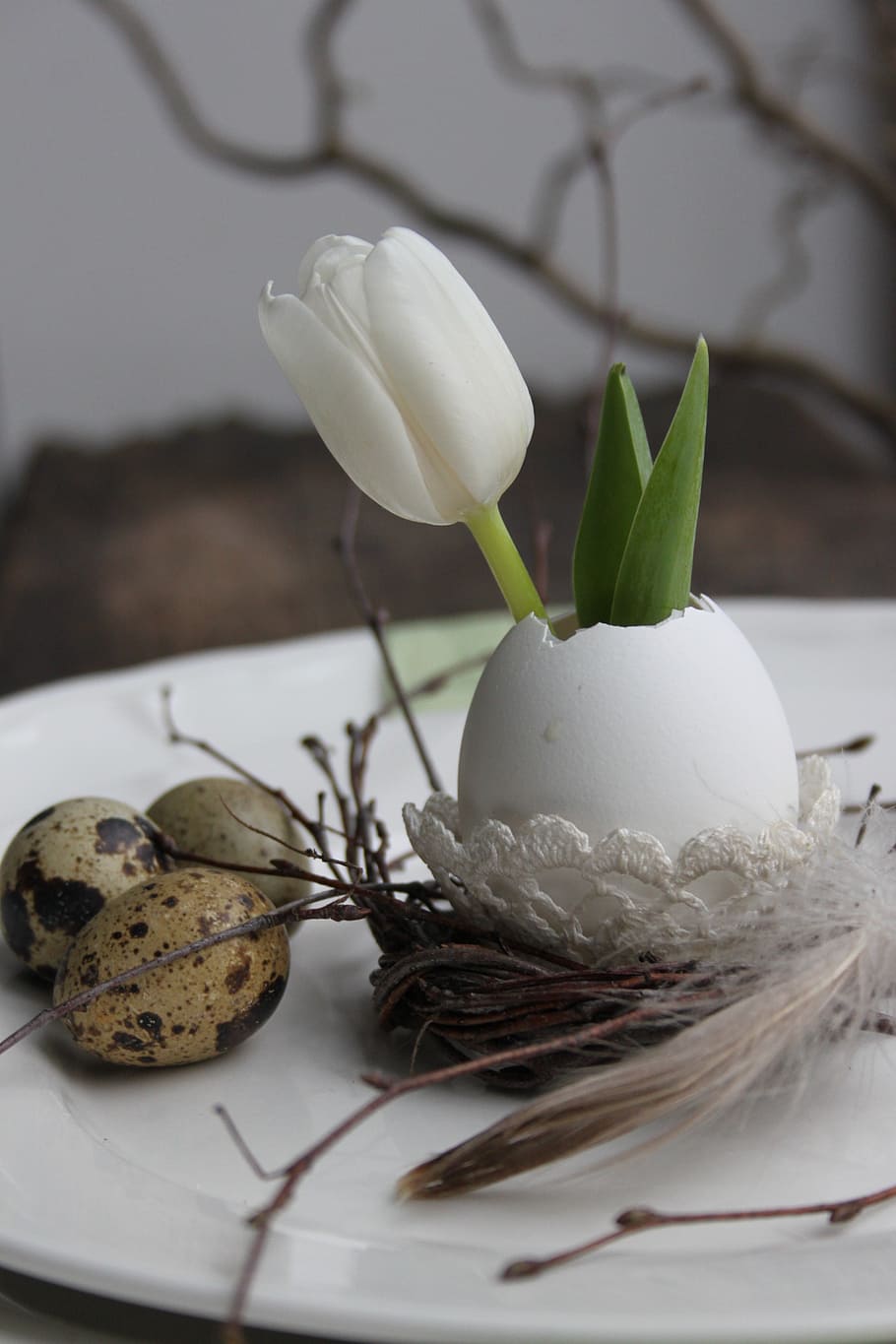 tulip, egg, easter decoration, quail eggs, spring, litter, hooks, HD wallpaper