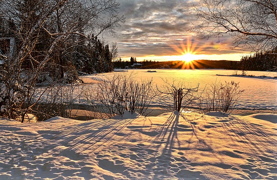 view of sunset, nature, winter, tree, twilight, evening, sky HD wallpaper